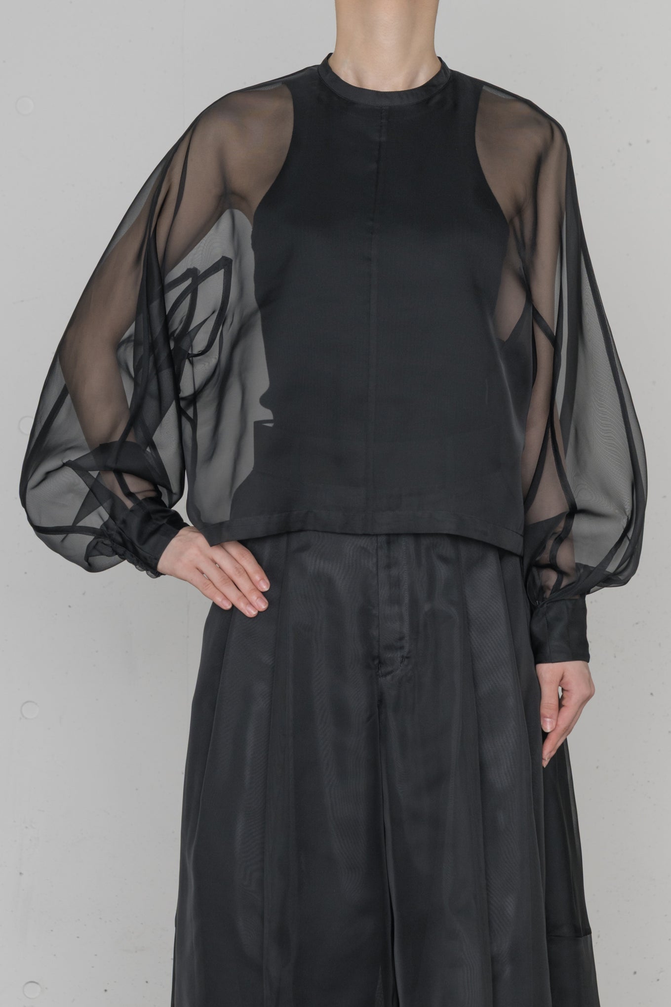SHEER BLOUSE