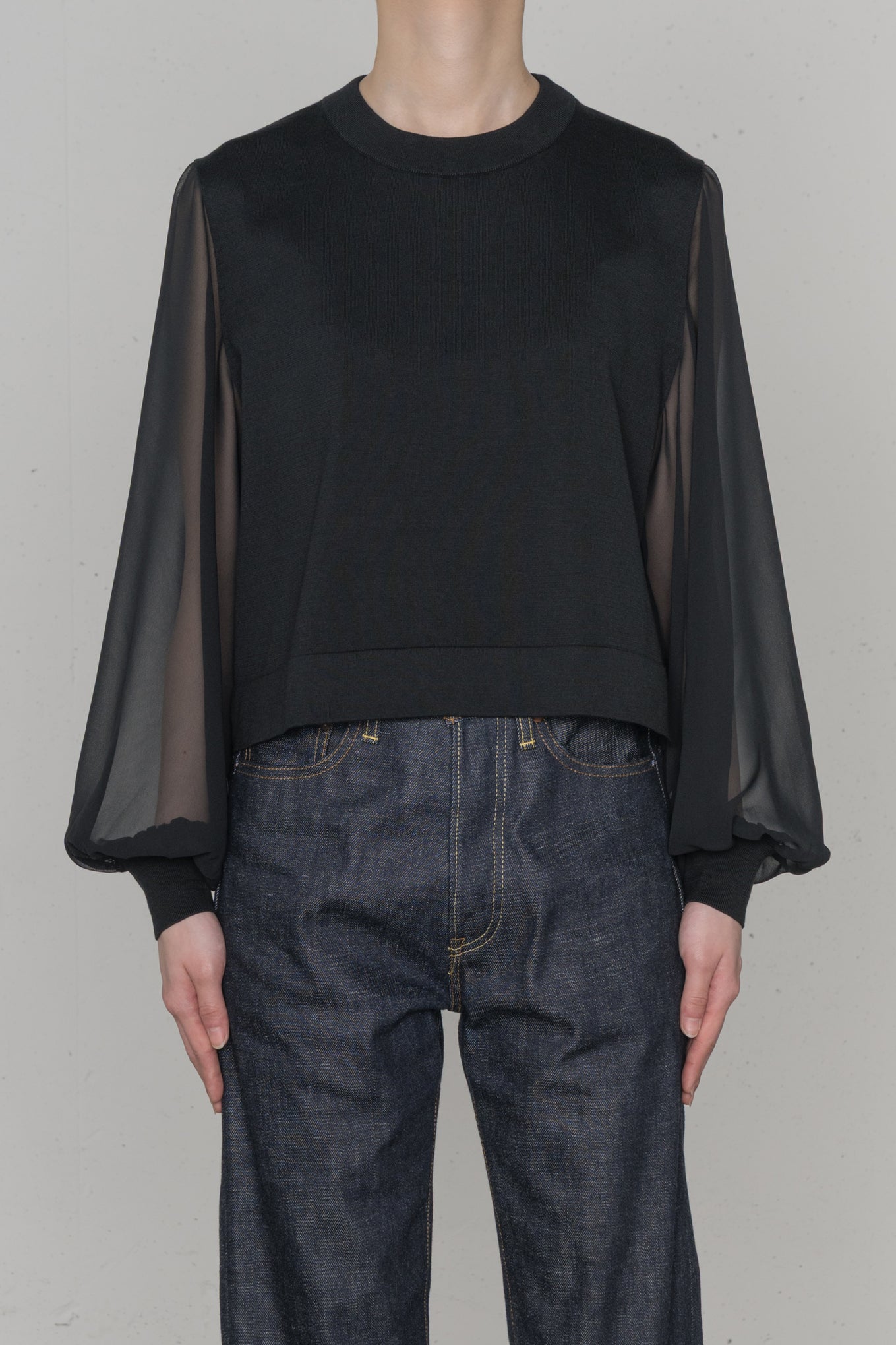 SHEER SLEEVES CREW NECK CROPPED KNIT – HYKE ONLINE STORE