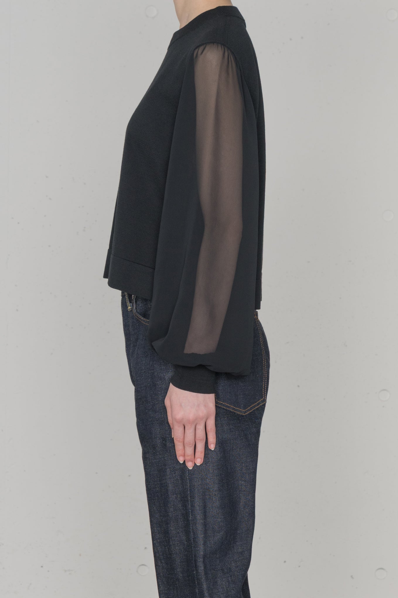 SHEER SLEEVES CREW NECK CROPPED KNIT – HYKE ONLINE STORE