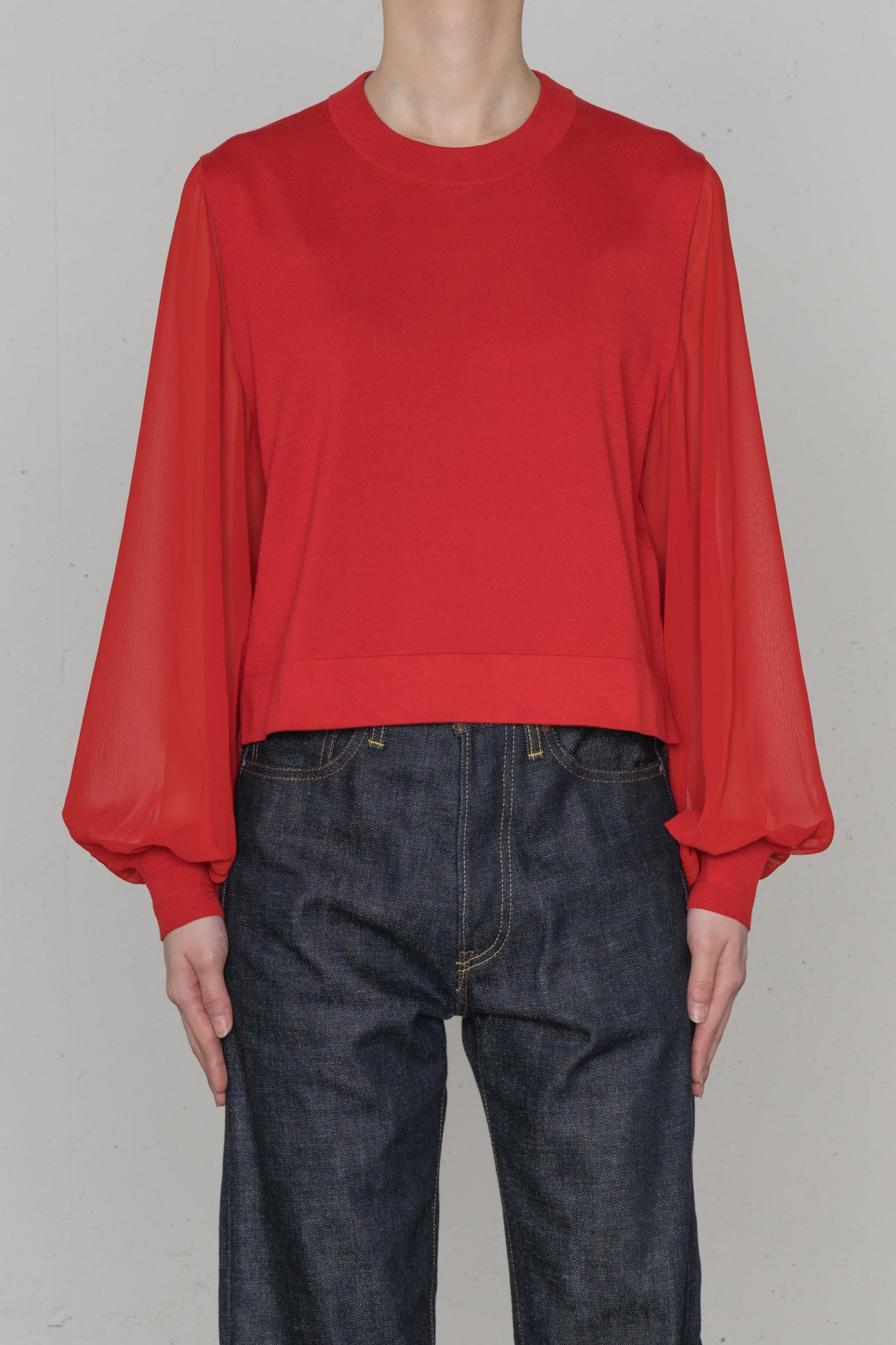 SHEER SLEEVES<br>CREW NECK CROPPED KNIT