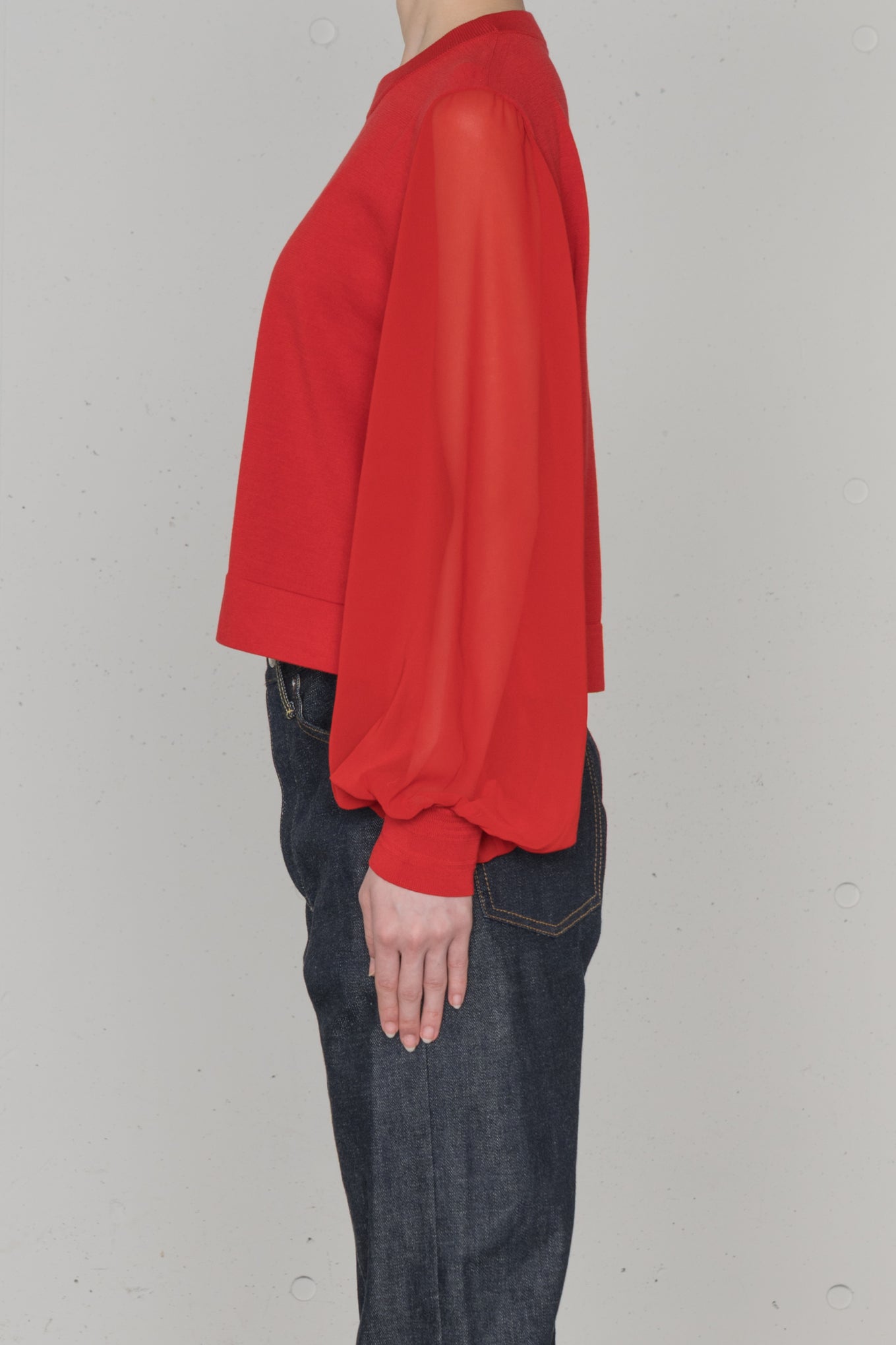 SHEER SLEEVES<br>CREW NECK CROPPED KNIT