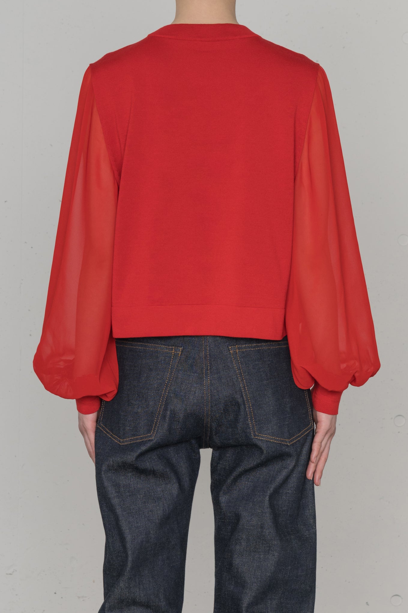 SHEER SLEEVES<br>CREW NECK CROPPED KNIT