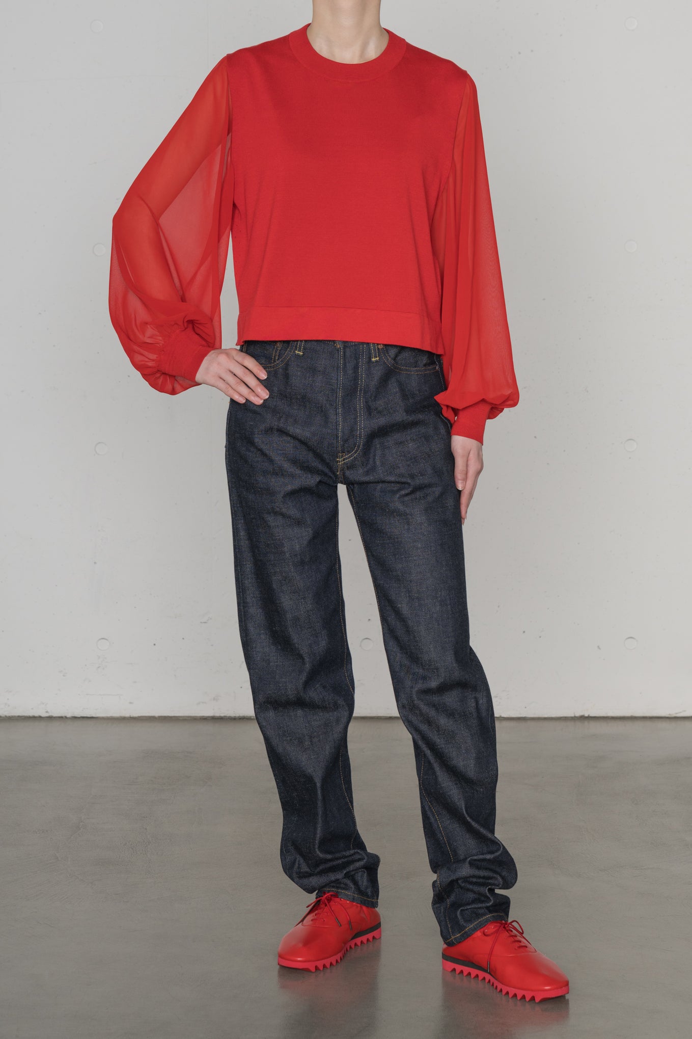 SHEER SLEEVES<br>CREW NECK CROPPED KNIT